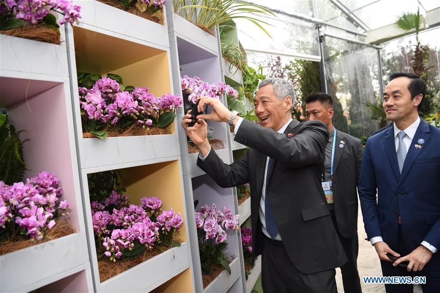 (EXPO 2019)CHINA-BEIJING-HORTICULTURAL EXPO-SINGAPORE GARDEN-PM-VISIT (CN)