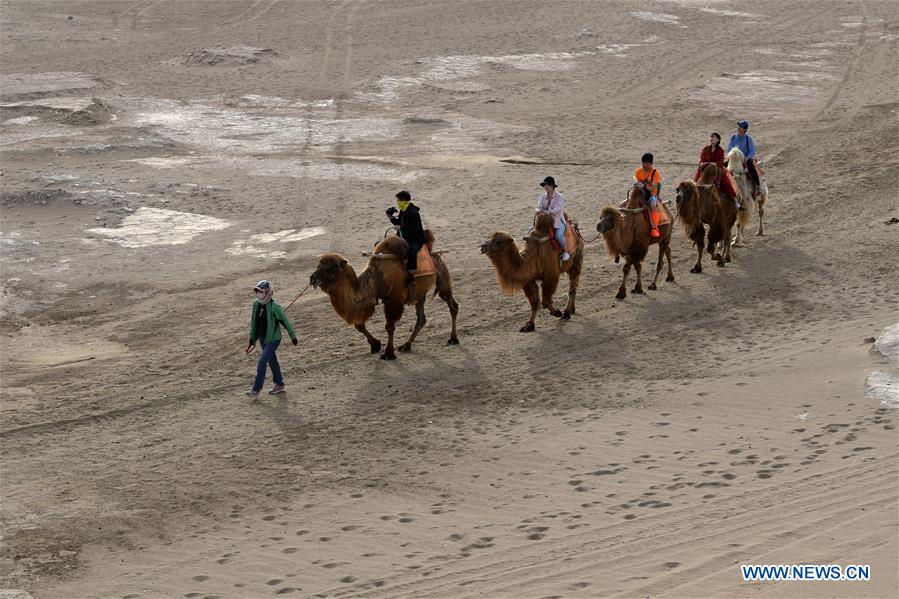 CHINA-GANSU-DUNHUANG-CAMEL-RIDE (CN)