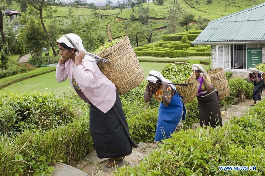 (CDAC)CHINA-BEIJING-ASIAN TEA CULTURE