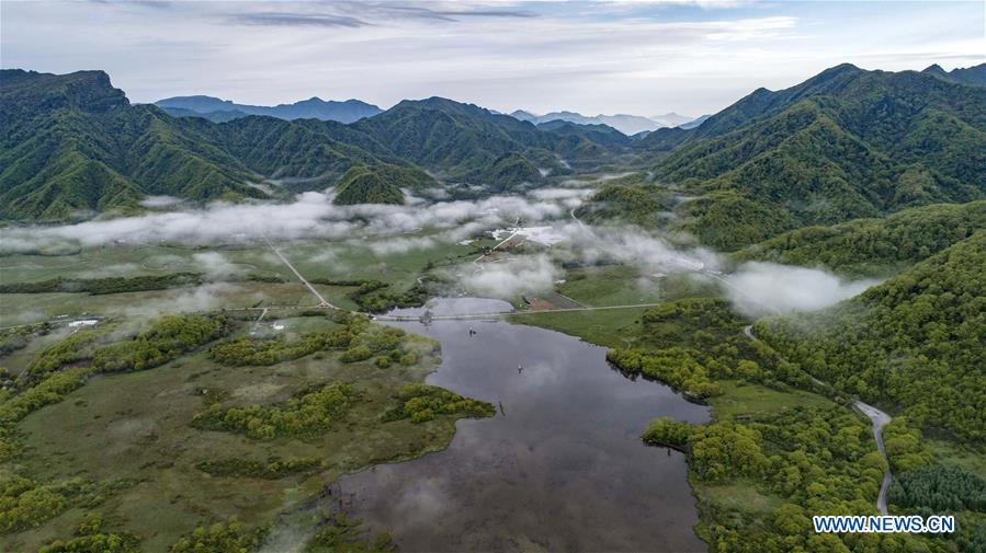 CHINA-HUBEI-SHENNONGJIA-SCENERY (CN)