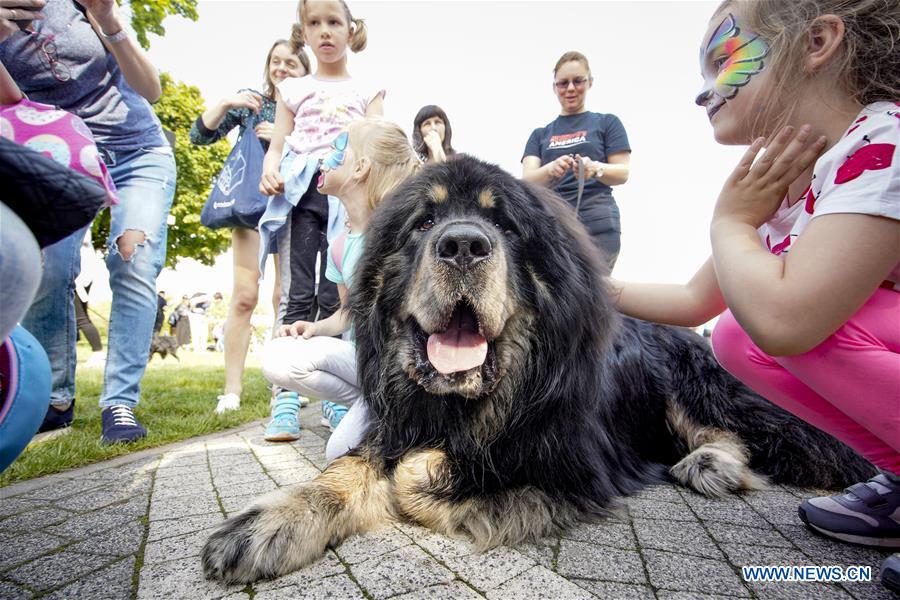 POLAND-WARSAW-WARSAW PET DAY