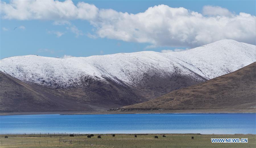 CHINA-TIBET-YAMZBOG YUMCO LAKE-SCENERY (CN)