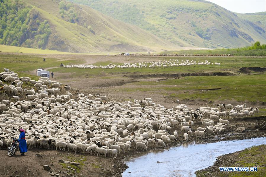 CHINA-INNER MOGOLIA-CHIFENG-AR HORQIN GRASSLAND-LANDSCAPE (CN)