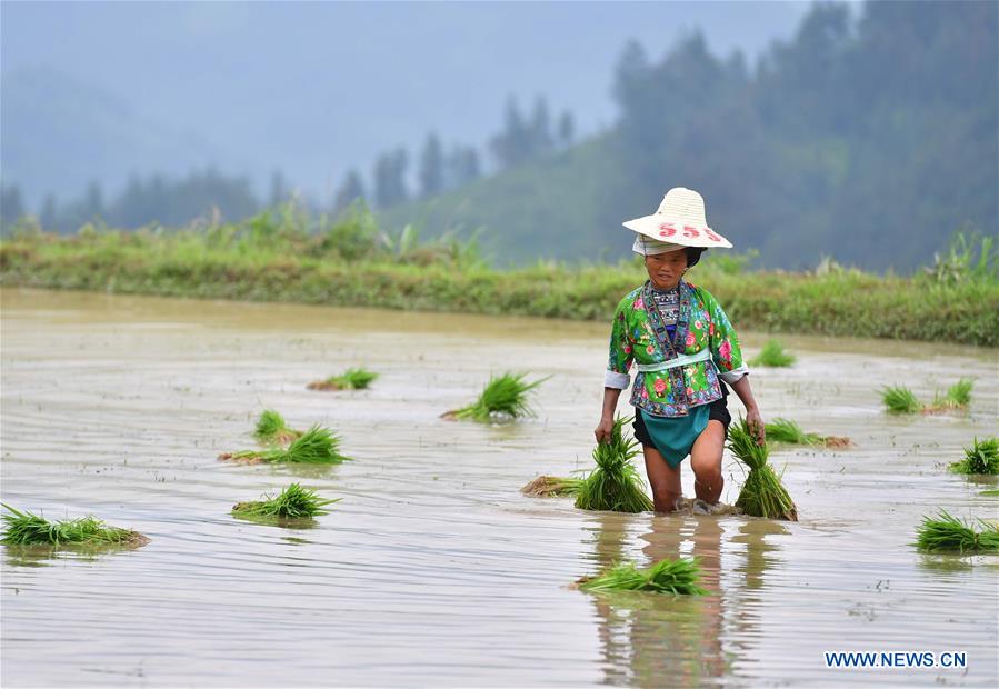 CHINA-GUANGXI-RONGSHUI-POVERTY ALLEVIATION (CN)