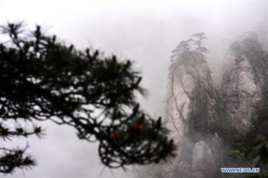 (EcoChina)CHINA-BEIJING-HORTICULTURAL EXPO-JIANGXI (CN)