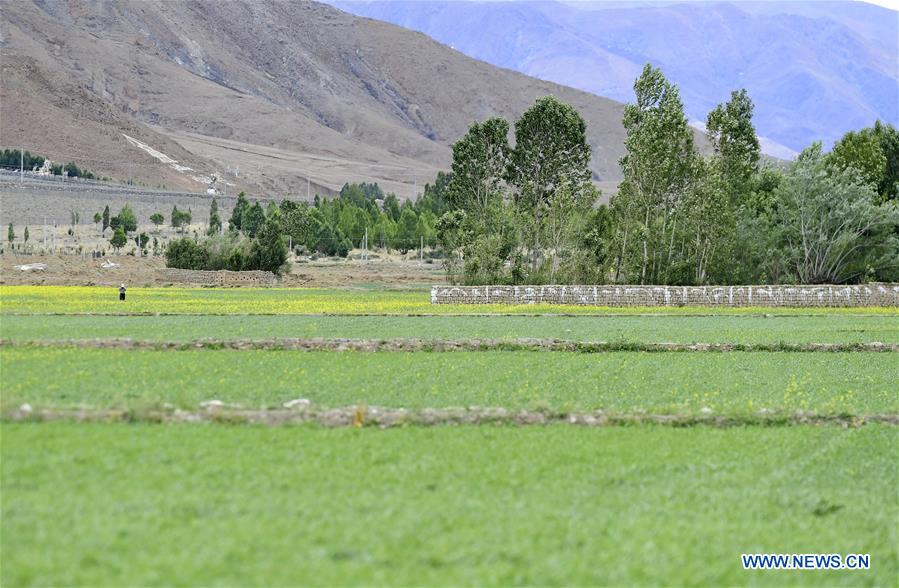 CHINA-TIBET-XIGAZE-SCENERY (CN)