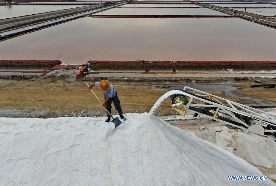 CHINA-HEBEI-TANGSHAN-SALT-HARVEST (CN)