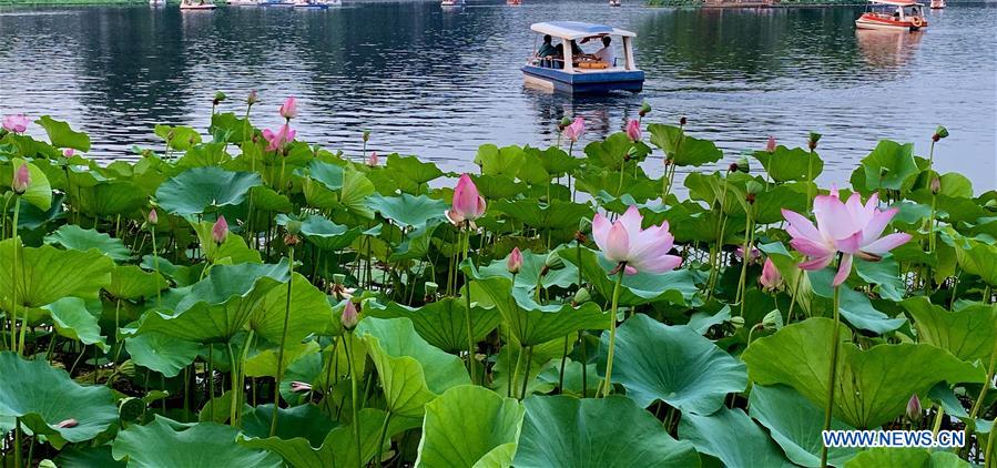 (BeijingCandid)CHINA-BEIJING-SUMMER (CN)