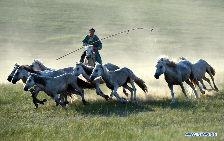 CHINA-INNER MONGOLIA-HORSE LASSOING (CN)