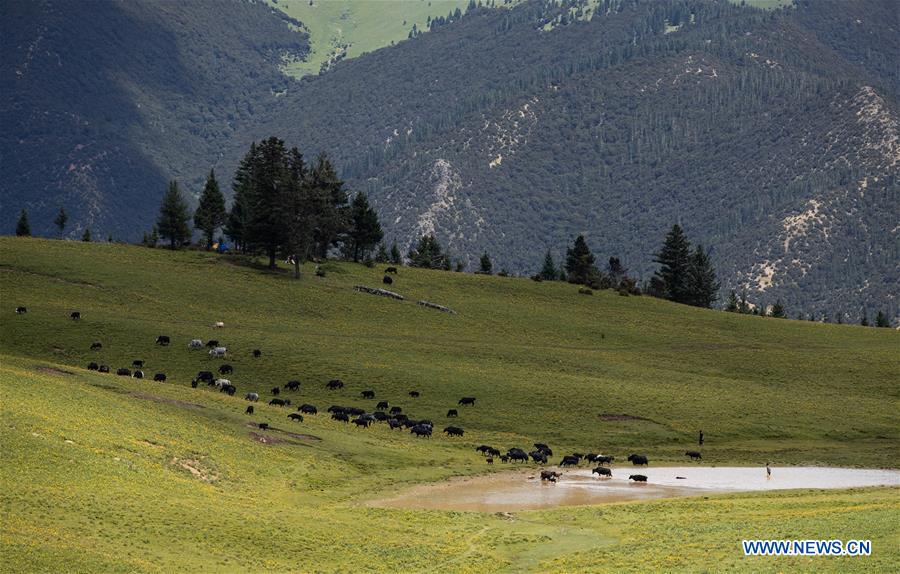 CHINA-SICHUAN-YAJIANG-SUMMER VIEW (CN)