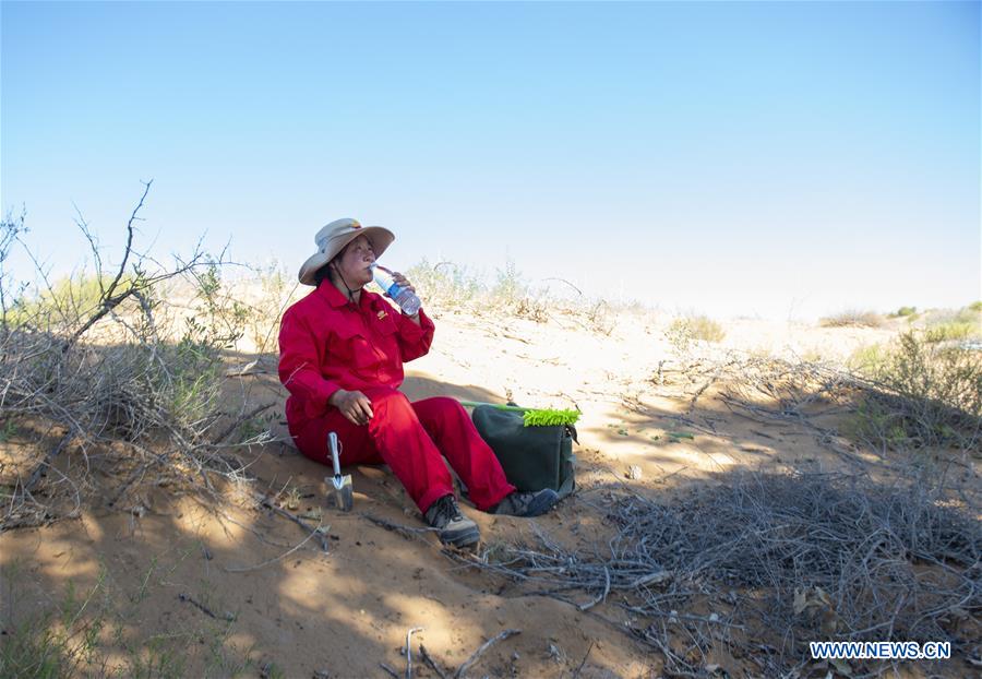 CHINA-INNER MONGOLIA-ARAXAN LEFT BANNER-DESERT-PATROLLING WORKER (CN)