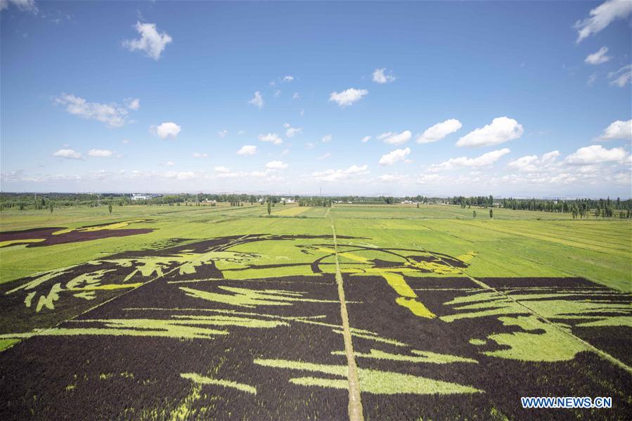 CHINA-XINJIANG-QAPQAL-RICE FIELDS-TOURISM (CN)