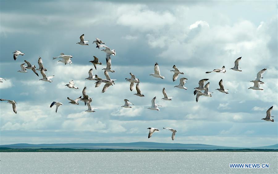 CHINA-INNER MONGOLIA-HULUN BUIR-HULUN LAKE (CN)