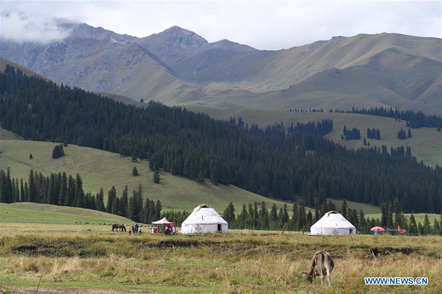 CHINA-XINJIANG-NARAT-SCENERY (CN)