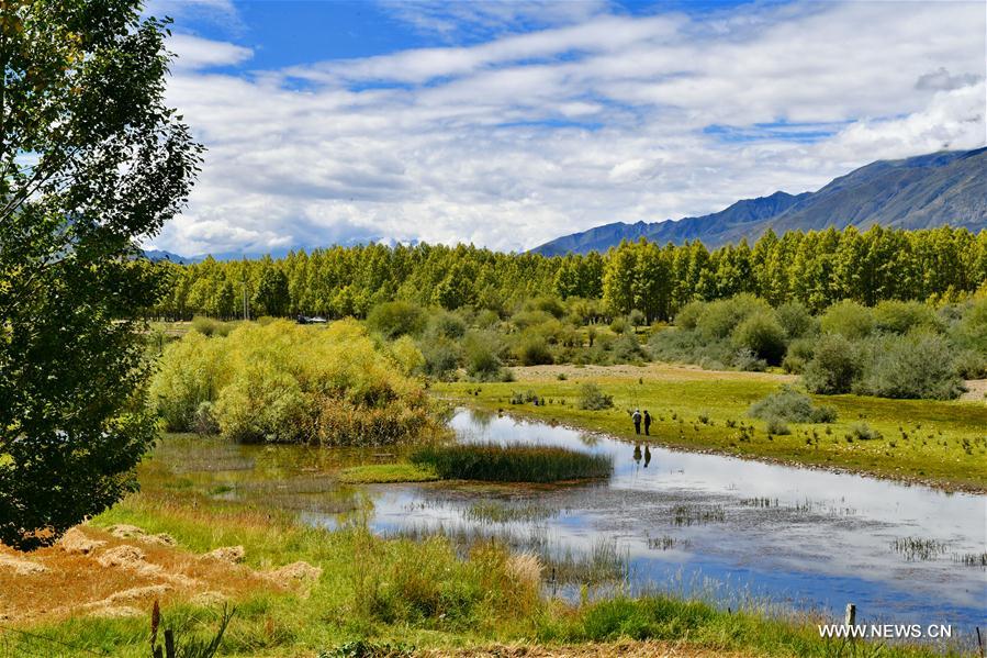 CHINA-LHASA-GOLDEN POND-SCENERY (CN)