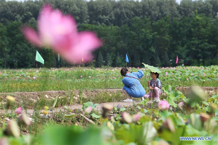 CHINA-SHANXI-HUYAN VILLAGE-RURAL REVITALIZATION (CN)