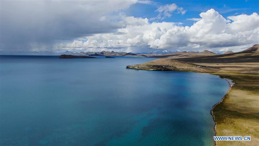 CHINA-TIBET-PUMA YUMCO LAKE (CN)