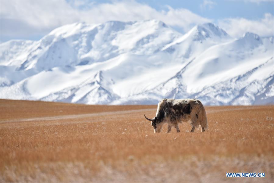 CHINA-TIBET-SNOW MOUNTAIN (CN)