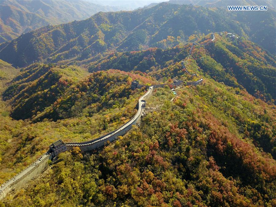 CHINA-BEIJING-GREAT WALL-AUTUMN SCENERY (CN)