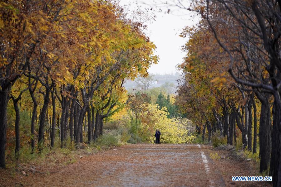 CHINA-HEBEI-TAIHANG MOUNTAINS-SCENERY (CN)