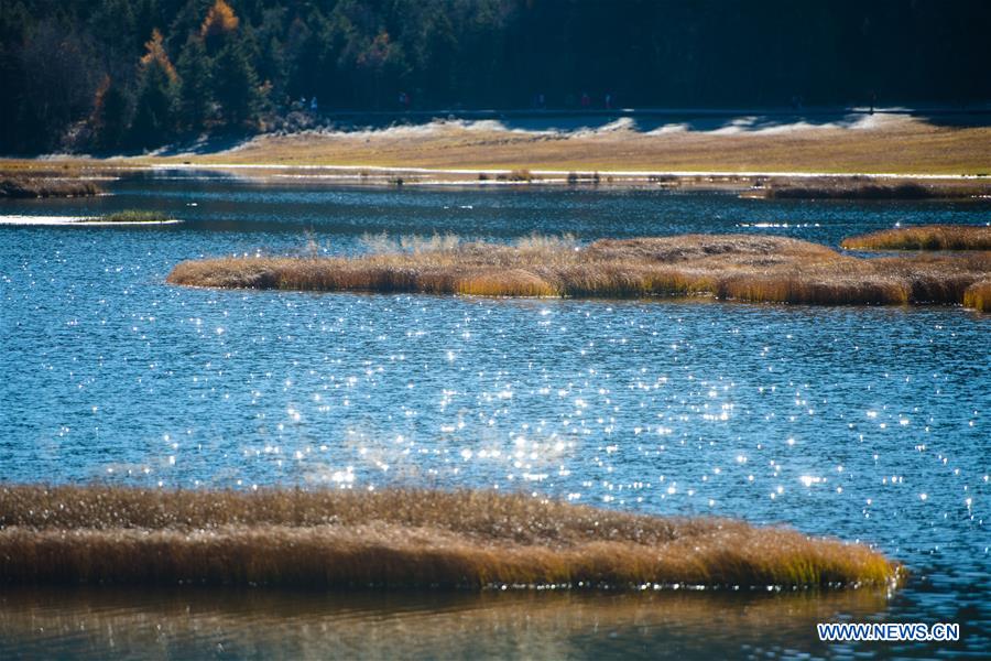 CHINA-YUNNAN-SHANGRI-LA-POTATSO NATIONAL PARK-AUTUMN SCENERY (CN)