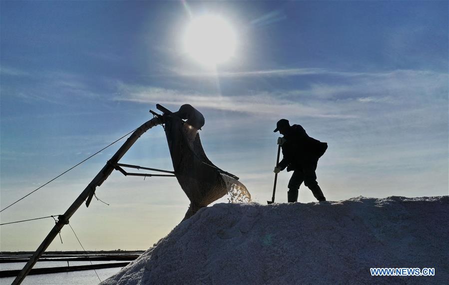 CHINA-HEBEI-CAOFEIDIAN-SALT PAN-AUTUMN-HARVEST (CN)