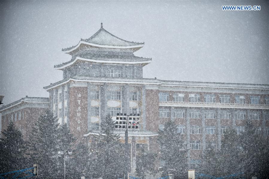 CHINA-JILIN-CHANGCHUN-SNOWFALL (CN)