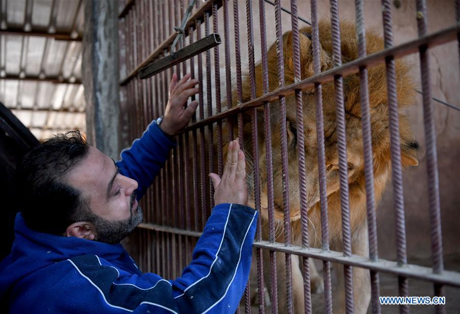 SYRIA-DAMASCUS-ANIMAL COLLECTOR