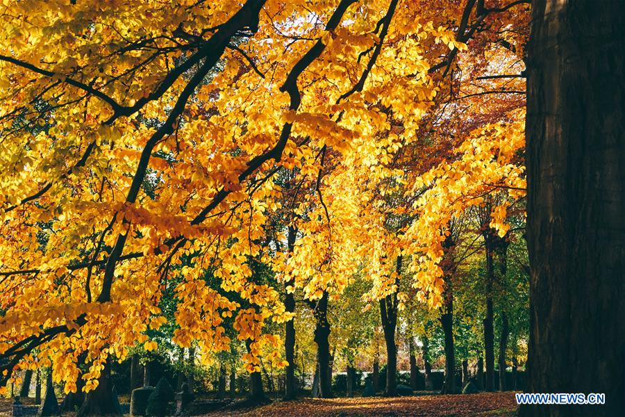 BELGIUM-BRUSSELS-AUTUMN SCENERY