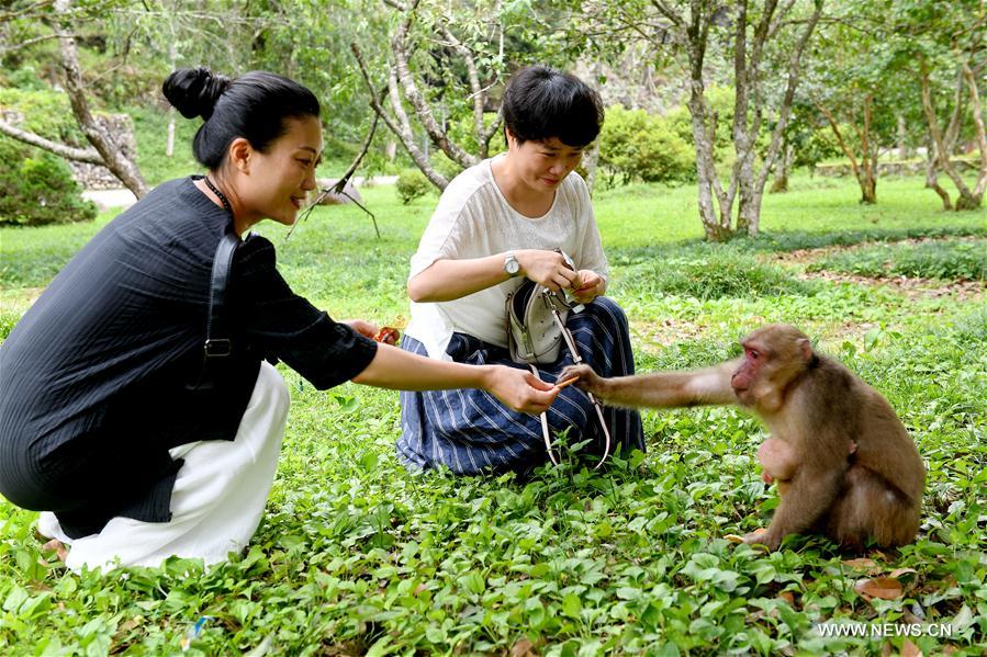 CHINA-FUJIAN-WUYI MOUNTAIN-SCENERY (CN)