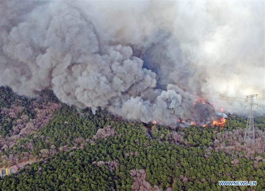 XINHUA-PICTURES OF THE YEAR 2019-AERIAL PHOTO