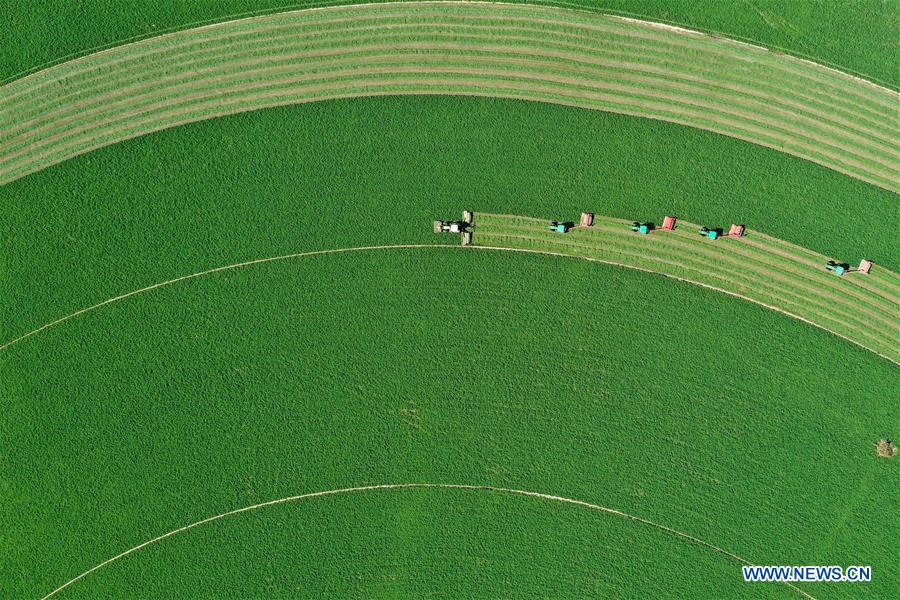 XINHUA-PICTURES OF THE YEAR 2019-AERIAL PHOTO