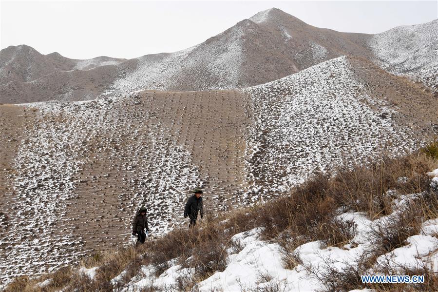 CHINA-GANSU-QILIAN MOUNTAINS-FOREST PROTECTION (CN)