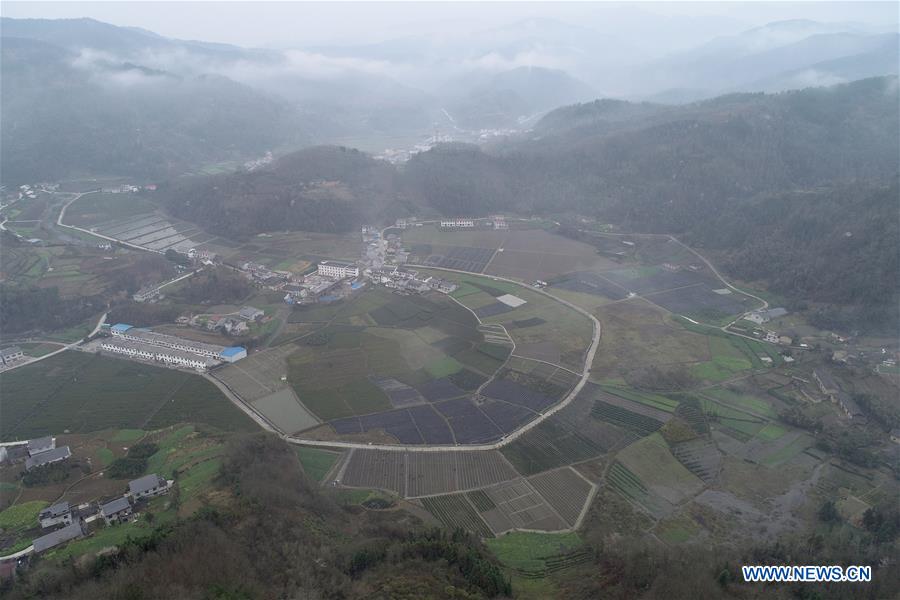 CHINA-SHAANXI-ANKANG-TEA GARDEN (CN)