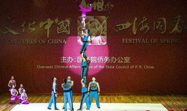 "Cultures of China, Festival of Spring" gala held in Rio de Janeiro