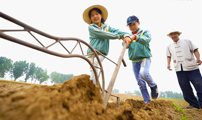 Students attend farming experience activity in N China's Hebei