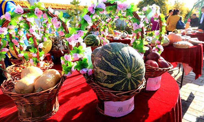 People celebrate harvest in NW China's Gansu