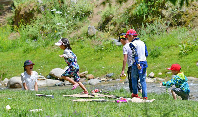 Tibet's Dagdong Village promotes culture, tourism industry to alleviate poverty