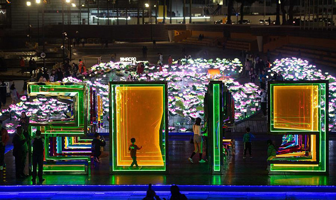 2019 Macao Light Festival held in south China