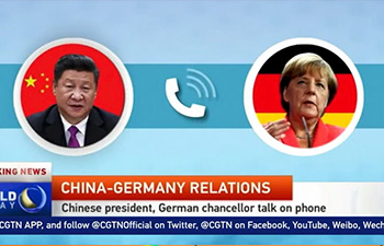 Xi, Merkel hold phone talks over China-Germany ties, DPRK issue