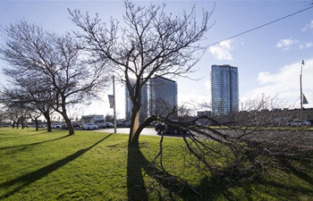 Weather alert for severe winds issued in Toronto area