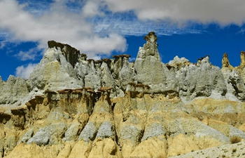 Scenery of Xiayigou Earth Forest in SW China's Tibet