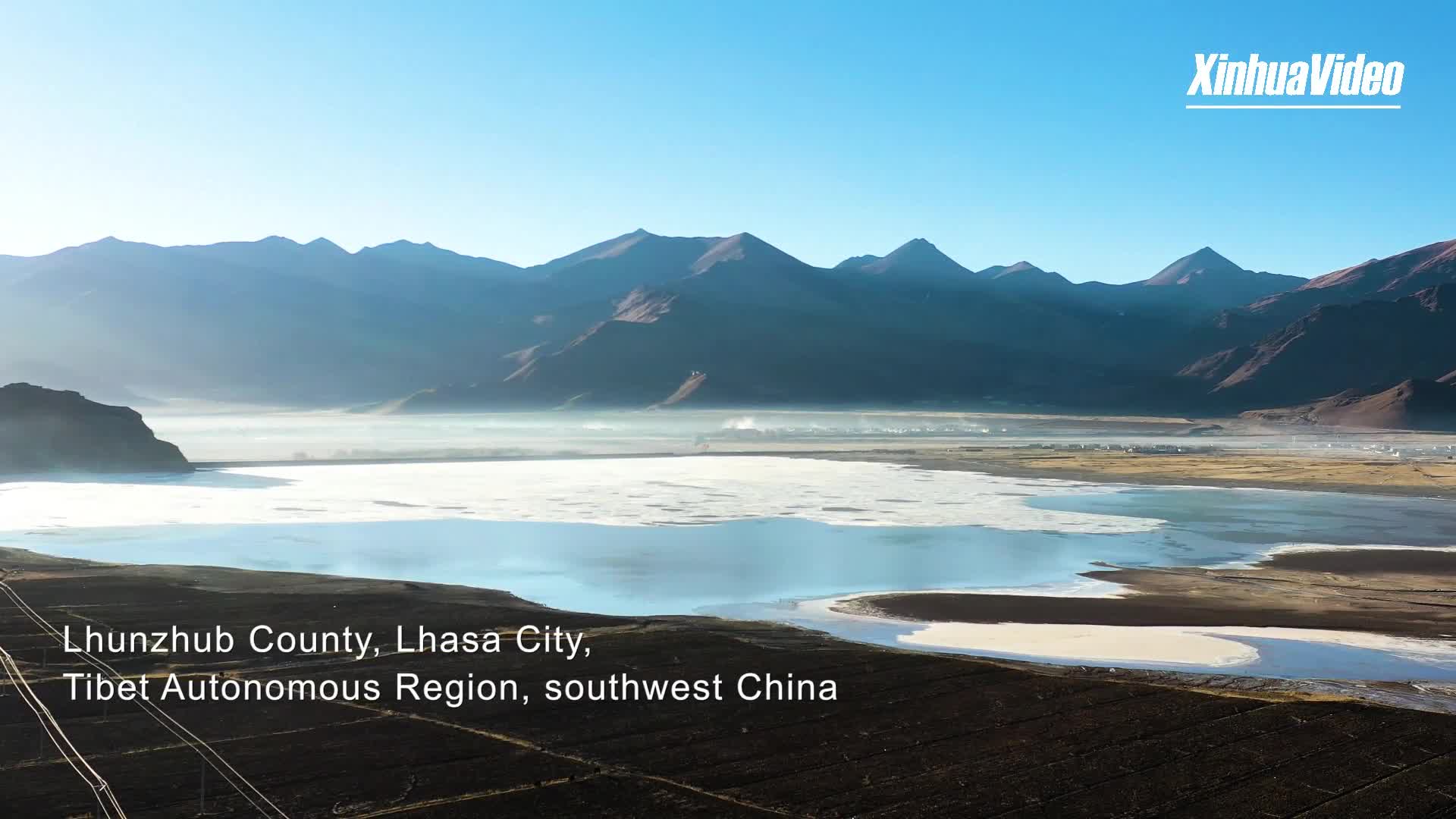 Tales of Tibetans: Hello, black-necked cranes!