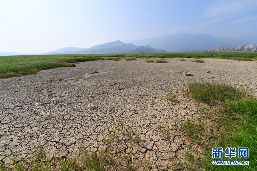 （圖文互動(dòng)）（2）鄱陽(yáng)湖提前出現(xiàn)低枯水位