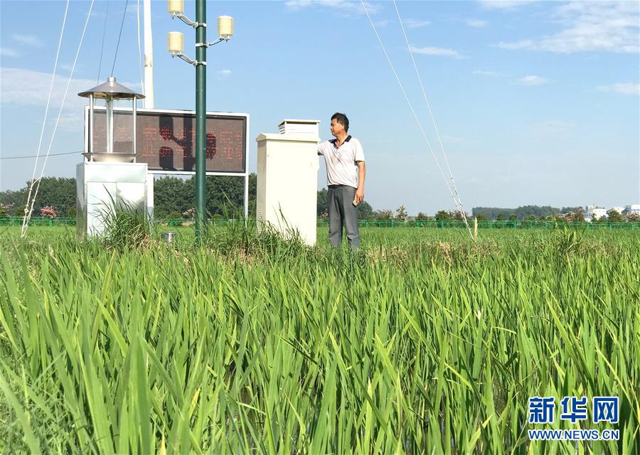 （新華全媒頭條·紀念改革開放40年特稿·圖文互動）（6）向著新航程揚帆奮進！——從小崗精神看中國改革開放40年