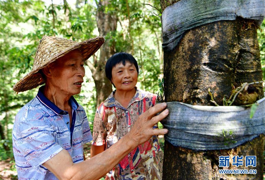 （新華全媒頭條·壯闊歷程40年系列述評(píng)·圖文互動(dòng)）（2）風(fēng)雨砥礪 壯麗史詩(shī)——從改革開(kāi)放40年看中國(guó)奇跡