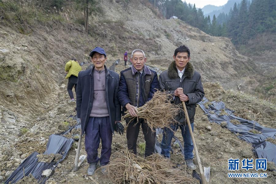 （新春走基層）（6）重慶黔江：土家三老漢 一臺(tái)“扶貧戲”