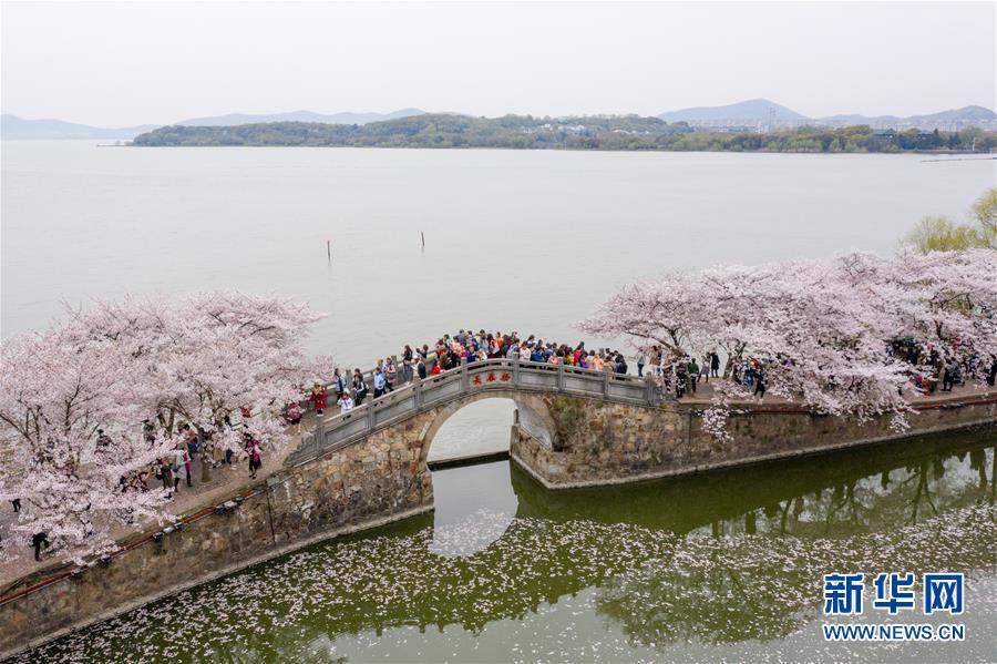 （新華全媒頭條·圖文互動(dòng)）（8）大湖見(jiàn)證——長(zhǎng)三角三大淡水湖綠色發(fā)展之路