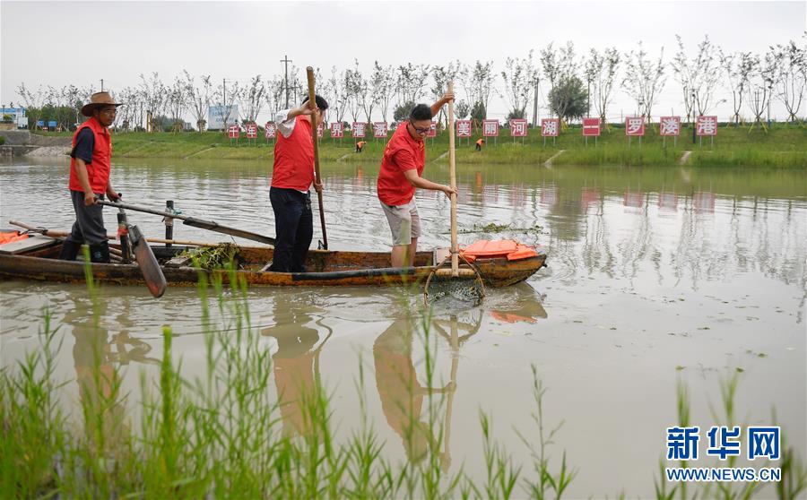 （新華全媒頭條·圖文互動(dòng)）（12）大湖見(jiàn)證——長(zhǎng)三角三大淡水湖綠色發(fā)展之路