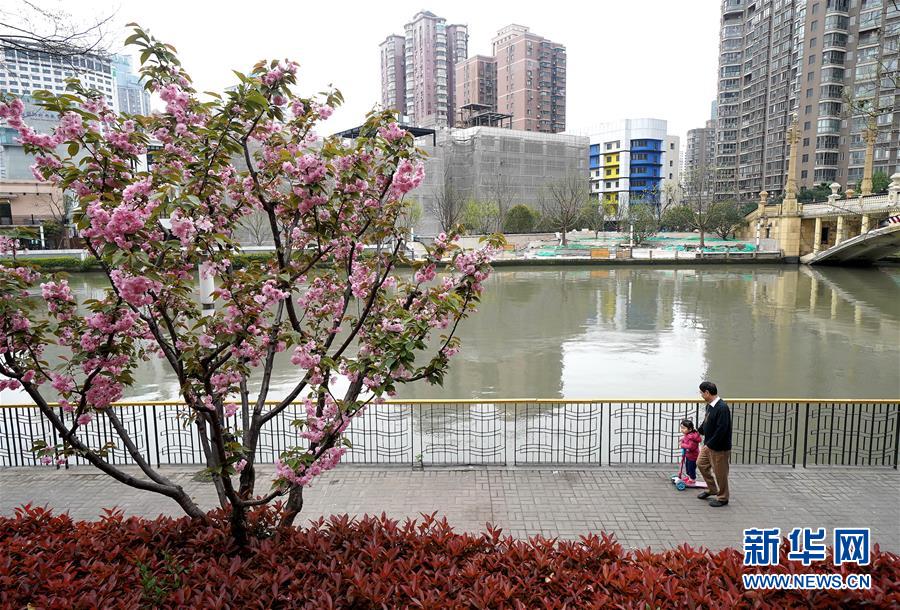 （新華全媒頭條·走向我們的小康生活·圖文互動(dòng)）（12）城市，讓人民生活更美好